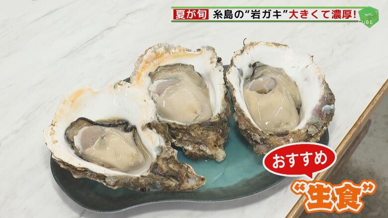 冬だけじゃない！ 夏が旬の”新名物” 出荷始まる   海外からの観光客も「フレッシュ」と岩ガキに舌鼓【福岡発】｜FNNプライムオンライン