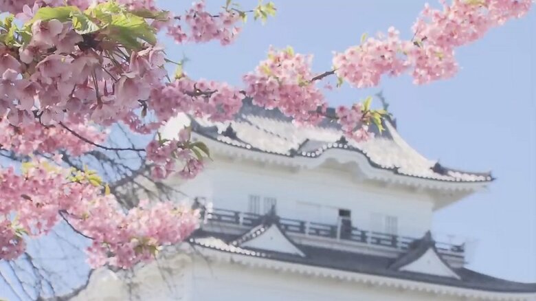 季節外れの暖かさで夏日に 陽気で桜の開花早まる予想　都内桜の名所の開花状況を見に行くと…｜FNNプライムオンライン