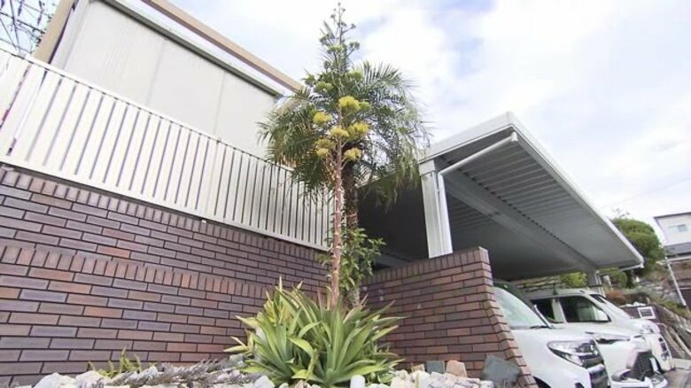 数十年に一度咲く花が鹿児島に！？夏に伸び始めた茎が約3メートルの高さに成長「10年育てているのに…ビックリ」その正体は？｜FNNプライムオンライン