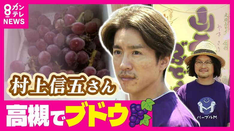 村上信五さんと農業ベンチャーが『ブドウ』でまちおこしプロジェクト　「マスカットのMと村上のMで『パープルM』みたいな新品種を」　大阪・高槻市｜FNNプライムオンライン