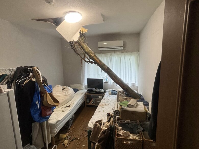 住宅の寝室に“倒木”が直撃　当時住人がいるもケガはなし　強風の影響か　和歌山・白浜町｜FNNプライムオンライン