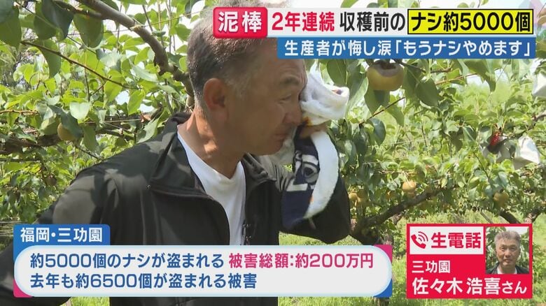 【生電話中継】「許せない…こないだあったものが全て無くなるとは」ナシ約5000個総額200万円分が窃盗被害　2年連続被害で閉園検討　広がるSNSの“励まし”に「今は前を向いているところ」と農家語る｜FNNプライムオンライン