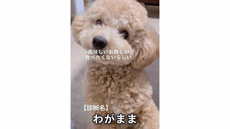 看護師さんも笑顔に