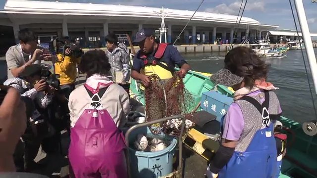福島・相馬市で天然トラフグを水揚げ ここ数年で漁獲量が増加