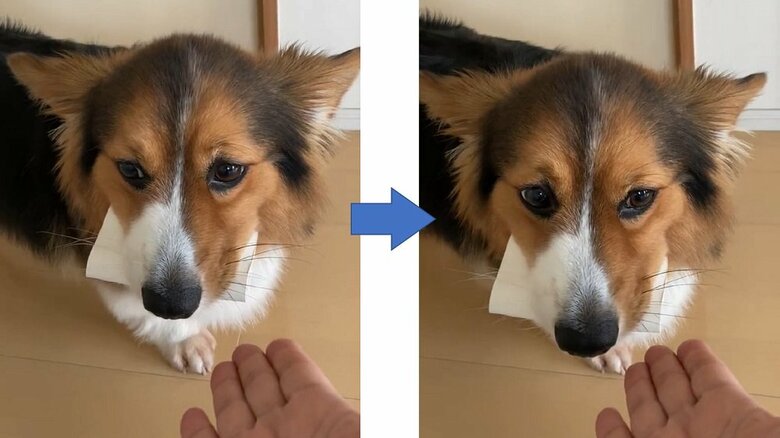 視線がキョロキョロと泳いでいる