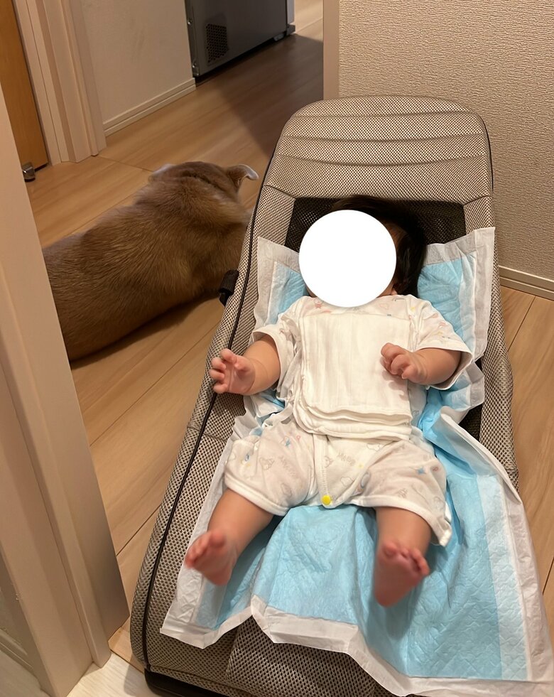 赤ちゃんの近くでくつろいでいる（提供：あさぎさん）