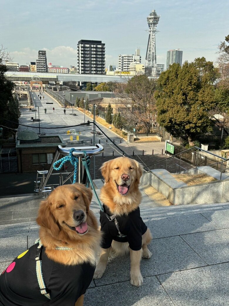 一緒にお出かけを楽しむ