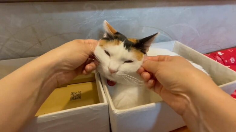 むにむにされる様子