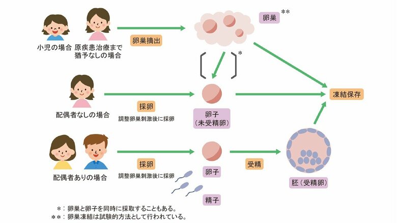 女性の妊孕性温存療法（日本がん・生殖医療学会HPより）