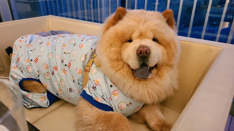 むっちりした赤ちゃん？