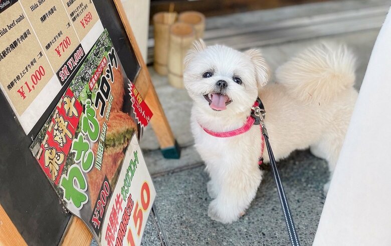 おいしそうだね！