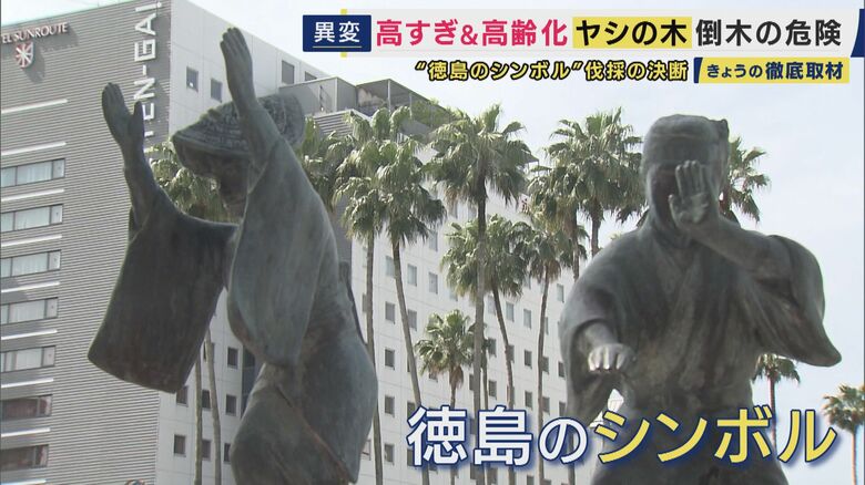 徳島のシンボルとして親しまれてきたヤシの木
