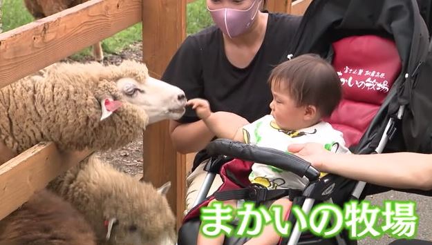 ヤギやヒツジ、ウシ、ウマ、ウサギなどとふれ合える観光牧場（静岡・富士宮市）