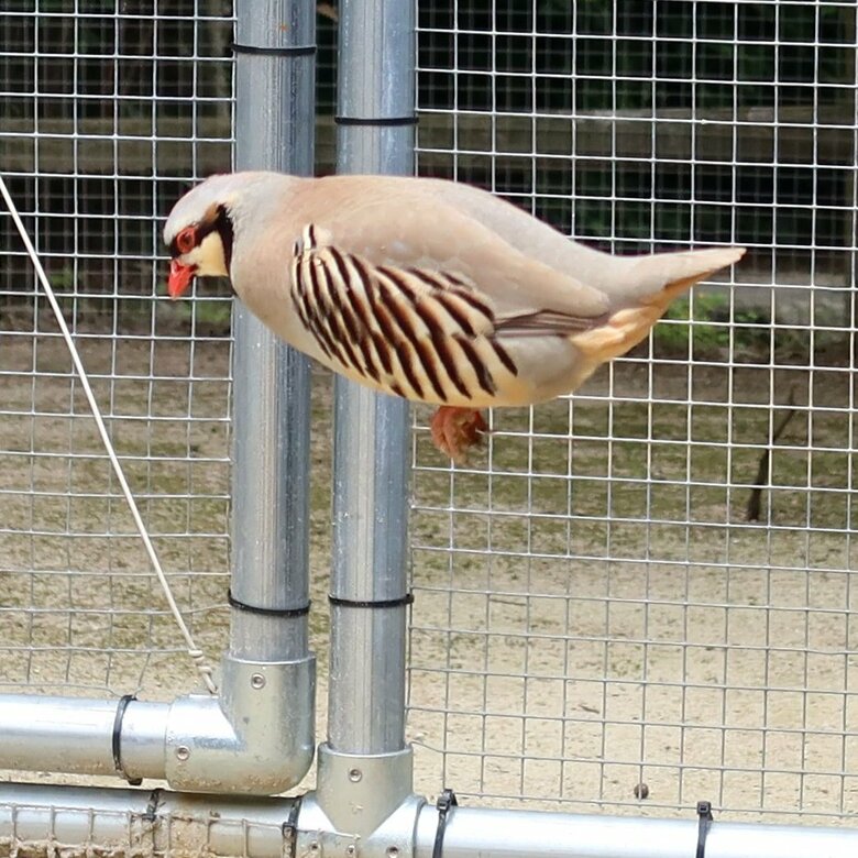 2枚目の写真
