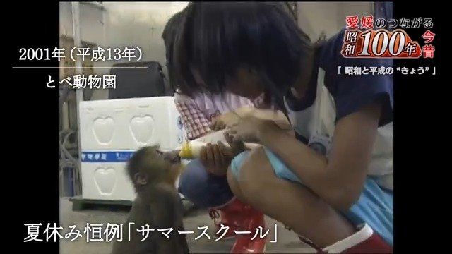 生まれて１００日あまりのマンドリルの赤ちゃん