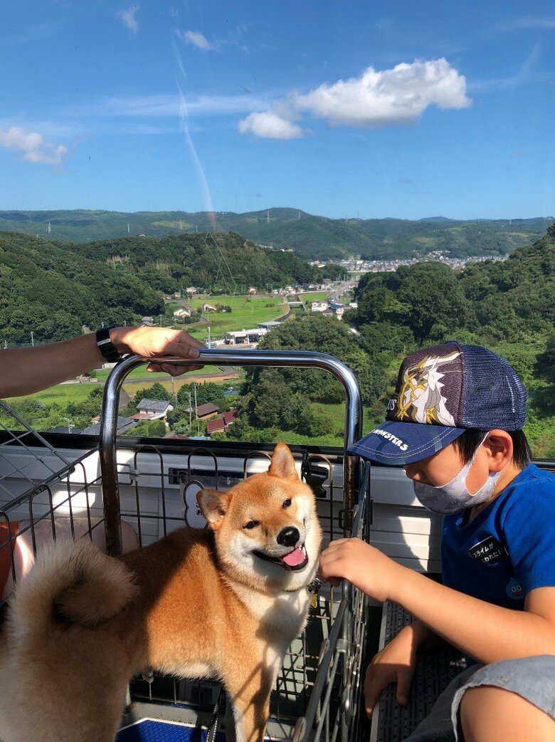提供：柴犬勇者むぎさん