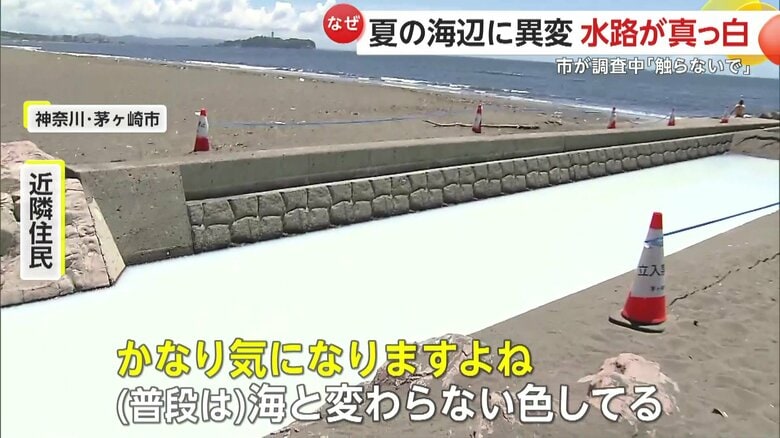 「普段は海と変わらない色してるんで」と話している近隣住民