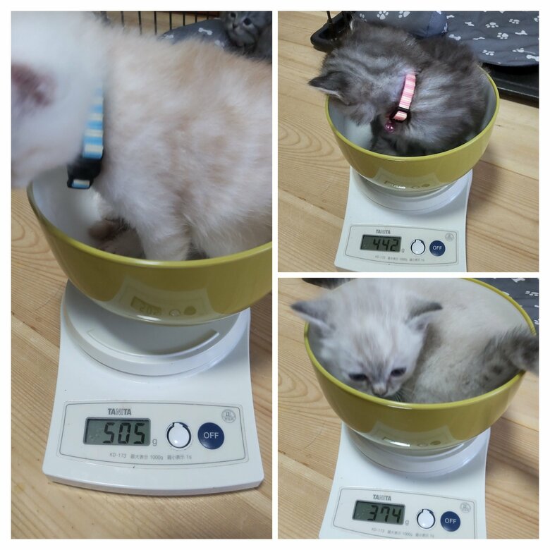 生後1カ月ごろの体重。短期間で成長した