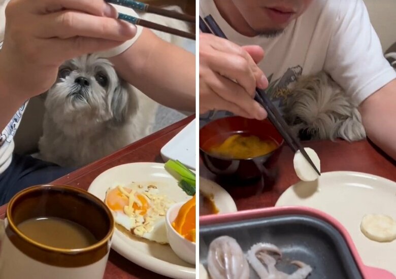 幸池さんの脇の下にぎゅむっと入り込むてんぽくん