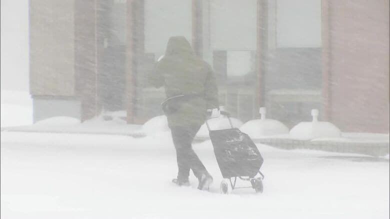 ひと晩で一気に真冬の景色に