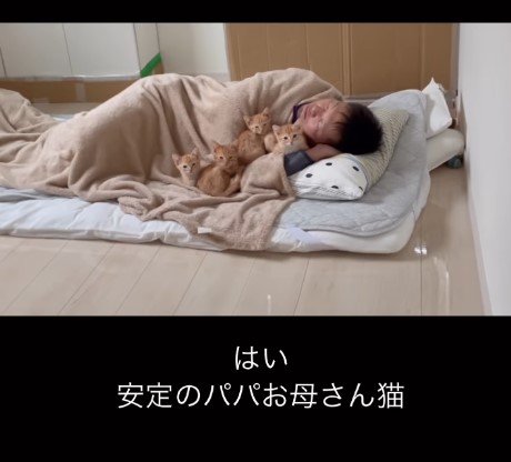 寝ている旦那さんに集まる子猫（提供：oimo & yuzukiさん）
