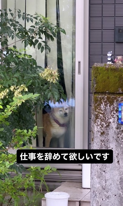 提供：橋本真実さん