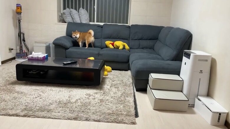 提供：うにandおからさん