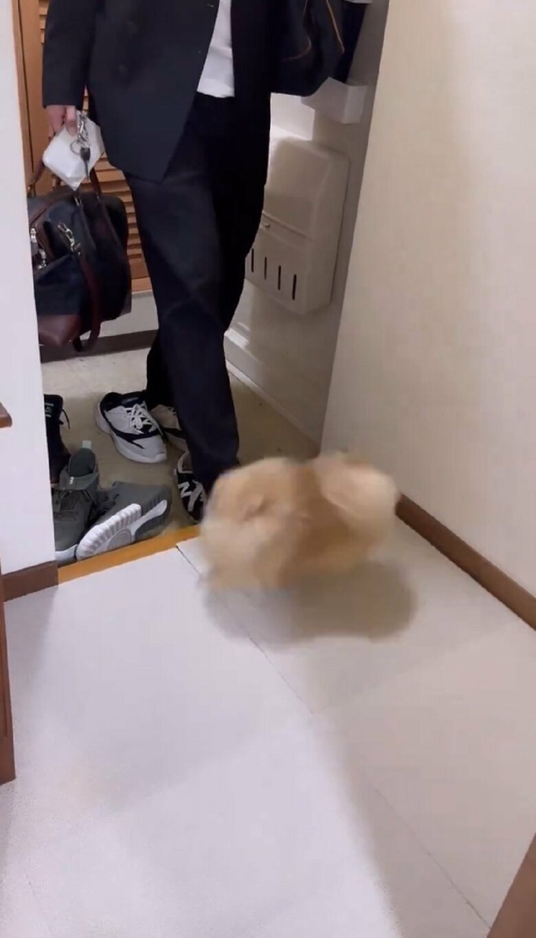 回転が止まらない