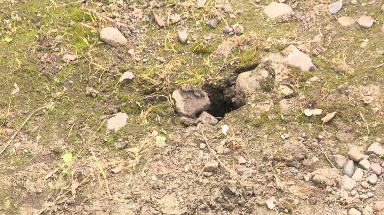 ネズミが作ったとみられる穴
