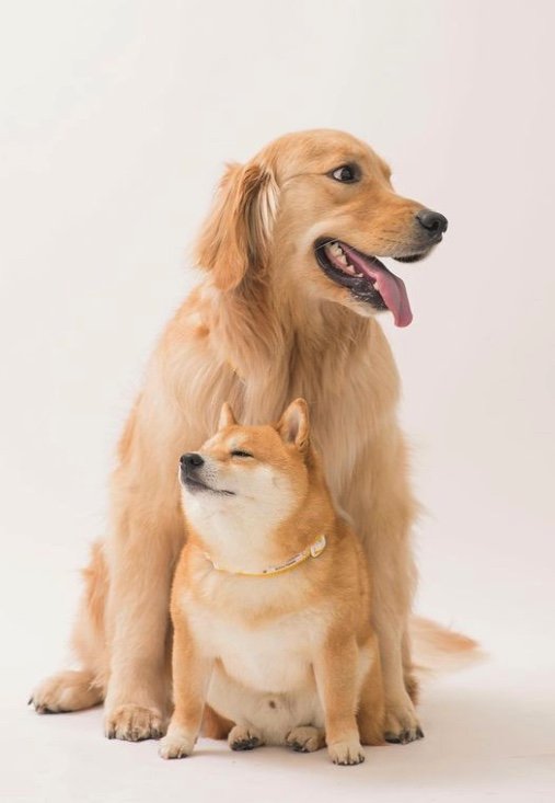 提供：うにandおからさん