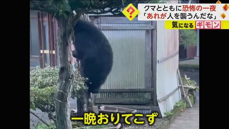 （FNN投稿サイト「ビデオPost」）