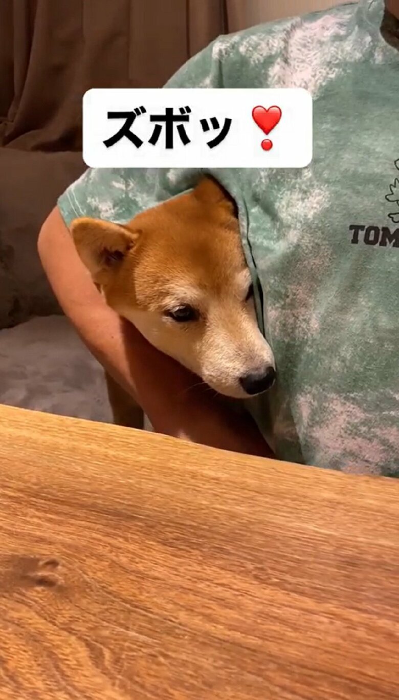 頭を入れてきた！