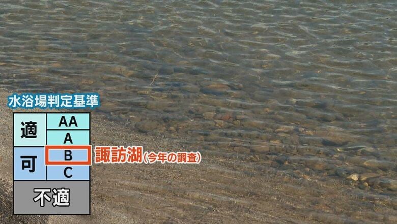 水質判定は「B」