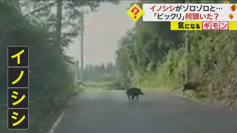 （FNN投稿サイト「ビデオPost」）