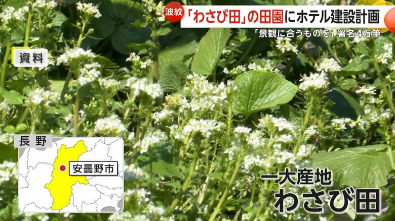 わさびの田んぼ「わさび田」などの田園風景が広がる安曇野市