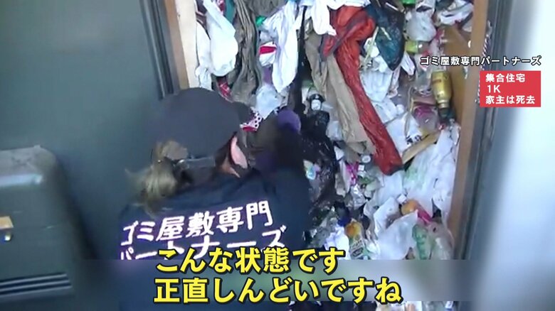 引っ張り出そうとしてもびくともしない