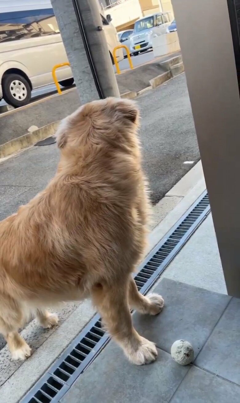 その後、戻ってきたセナくんが反応したことも