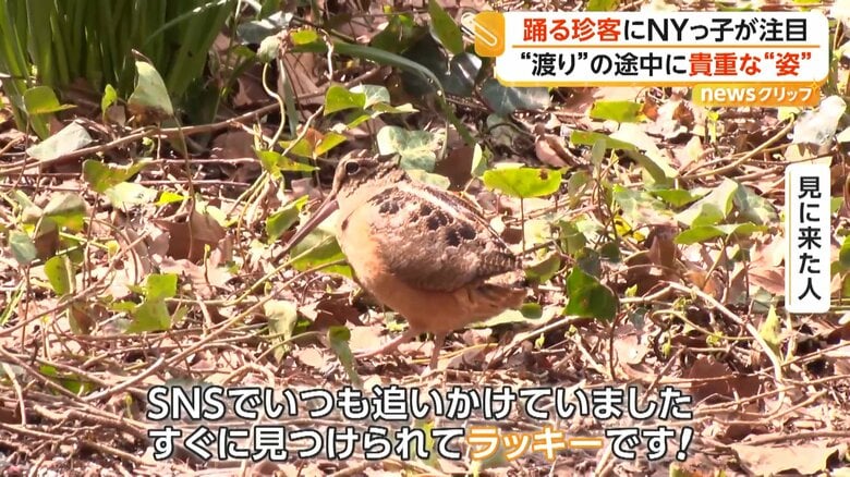 「SNSでいつも追いかけていました。すぐに見つけられてラッキーです！」と、話す見に来た人