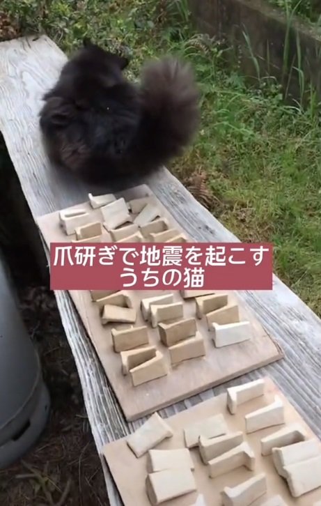 爪とぎで作品を乗せた台がぐらぐら