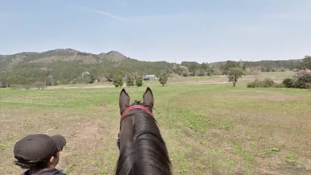 違った景色が見えるかも