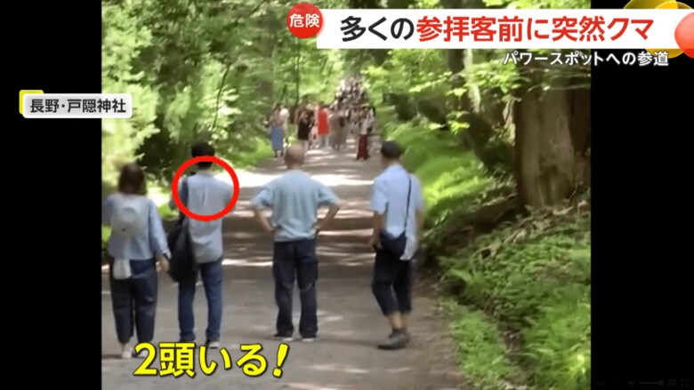 戸隠神社の参道に2頭のクマが現れた瞬間（8月11日、長野市）（5）