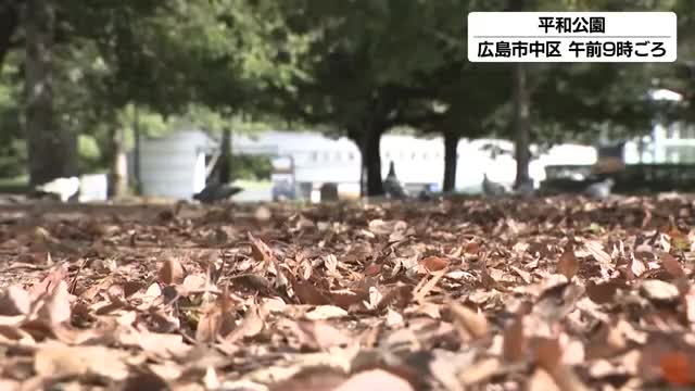 「セーター着てジャンパー着てます」　広島県内この秋一番の冷え込み　山間部は１０℃、平野部で１５℃前後
