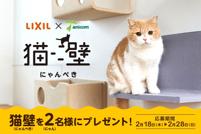 毎年恒例 猫の名前 人気猫種ランキング 21年最新版を一挙公開