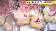 “梅の街”をPR「太宰府梅乃市」　紅梅にちなみ“赤”を身につけた人にプレゼント　梅を使ったスイーツやビールも　福岡
