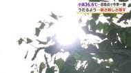 小浜36.6度、美浜35.4度、福井35度の猛暑日　県内8観測地点で今年一番の暑さを記録　16日は曇りや雨も最高気温は30度超え予想