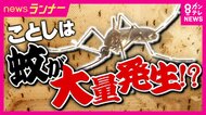今年「蚊が大量発生」か　対策は幼虫の繁殖抑える「数日に1回、庭やベランダにたまった水を捨てる」　“意外な生態”血を吸うのはメスだけ「産卵のためにタンパク質必要」　“爪でバッテン”は「かゆみに効果なし」