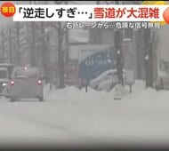 「逆走しすぎだろぉ」息子もあきれる雪道の逆走車で大混乱…高齢ドライバーか　「迷い全くなかった」猛スピードで信号無視する無謀運転車も