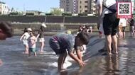『花見』ならぬ『川見』札幌中心部流れる豊平川で…涼しく過ごす”夏のひととき”「海より少し安全かな」夏の風物詩になりつつ→幌平橋のイルミネーションも〈北海道札幌市〉