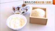 米価下落懸念される中「とりあえず新米楽しんで」新米コシヒカリが500円で30分間食べ放題！【新潟市】