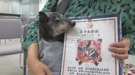 19歳6カ月の愛犬「ロック」に感謝　飼い主「夜泣きやトイレでお世話するのが大変な毎日ですが、1日でも長く一緒に過ごしてほしい」　動物愛護週間に合わせ「ご長寿犬」を表彰